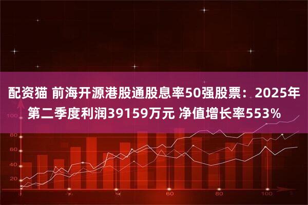 配资猫 前海开源港股通股息率50强股票：2025年第二季度利润39159万元 净值增长率553%