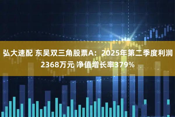 弘大速配 东吴双三角股票A：2025年第二季度利润2368万元 净值增长率379%